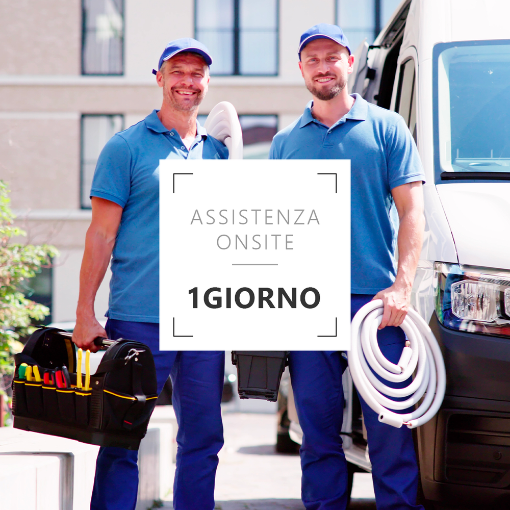 Assistenza Onsite 1 giorno