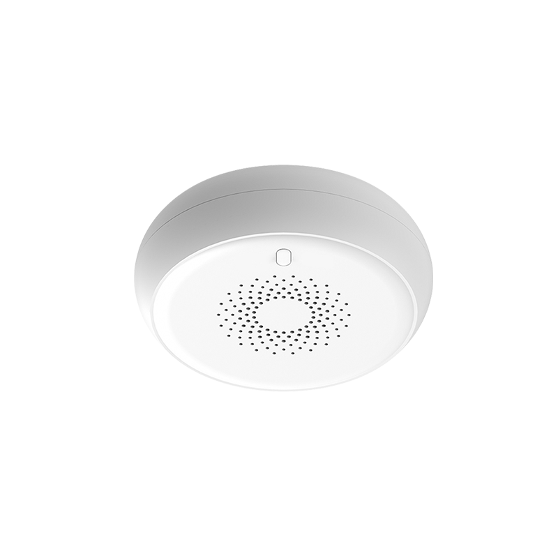 B.BWI GAS SENSOR